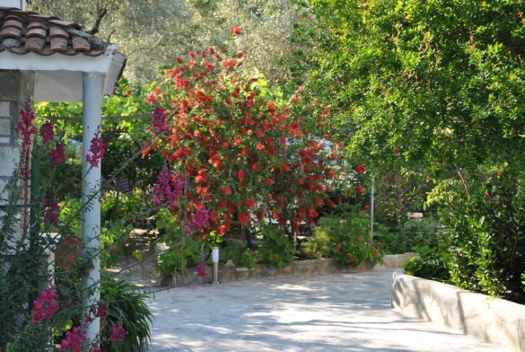 Stelios Studios Megali Ammos (Skiathos) Exterior foto