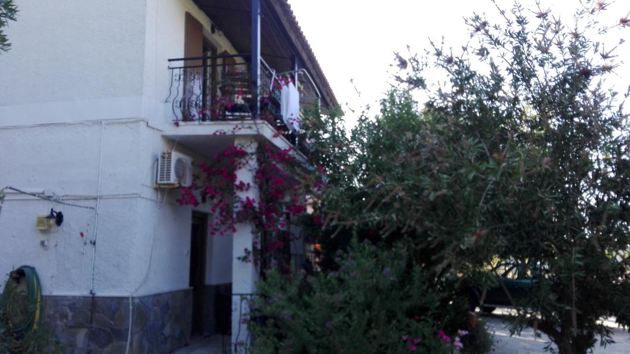 Stelios Studios Megali Ammos (Skiathos) Exterior foto